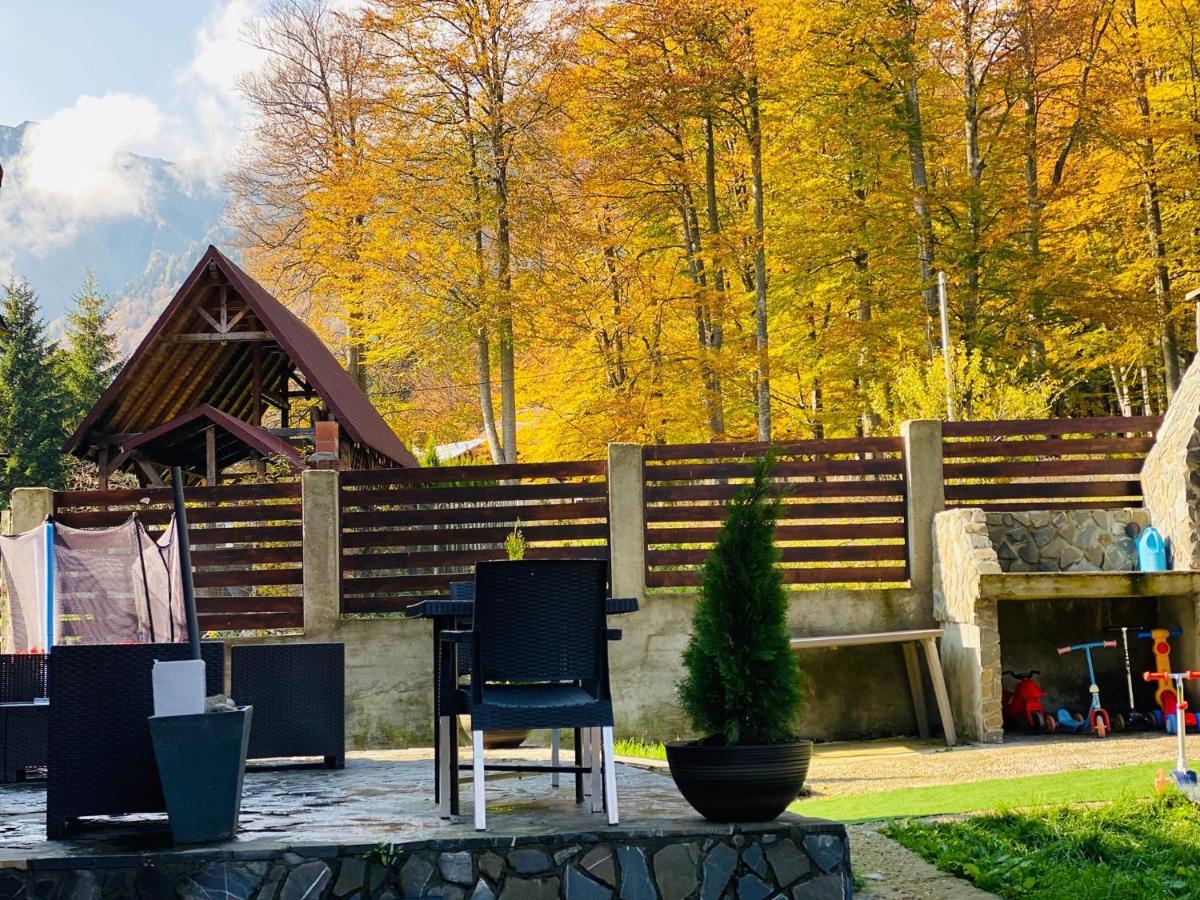 Vila Mama Jana Buşteni Exterior foto